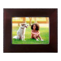 Preview: Polaroid PDWF-800NT