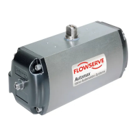 Preview: Flowserve S25N