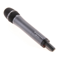 Preview: Sennheiser SKM100