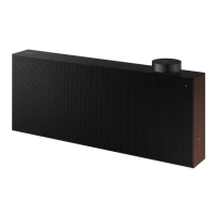 Preview: Samsung AKG VL5