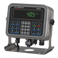 Preview: Avery Weigh-Tronix ZM401