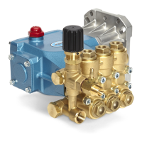Preview: CAT Pumps 66DX Series