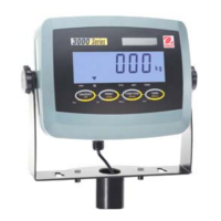 Preview: OHAUS 3000 Series T31P