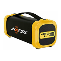 Preview: Axess SPBT1073