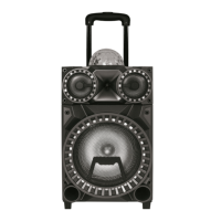 Preview: Icebox Audio MW-S321