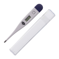 Preview: Electronic Digital Thermometer