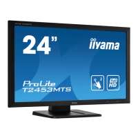 Preview: Iiyama ProLite T2453MTS