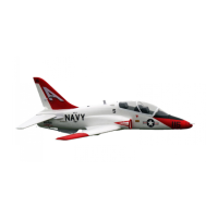 Preview: FMS T-45