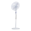 Fan Logo