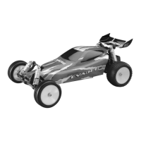 Preview: Duratrax Nitro Evader BX