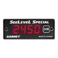 Preview: Garnet SeeLevel Special 807-ICE 05