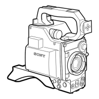 Preview: Sony DXC-327BK