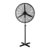 Fan Logo