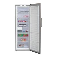 Preview: Beko RFNE312E33X