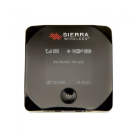Preview: Sierra Wireless Overdrive