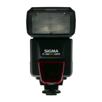 Preview: Sigma EF-500