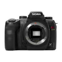 Preview: Sigma SD14