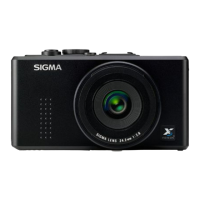 Preview: Sigma DP2