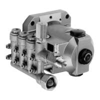 Preview: CAT Pumps 3DX25GSI