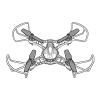 Preview: Nikko Air RACE VISION 220 FPV