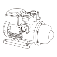 Preview: Walrus Pump Co., Ltd. HQ Series