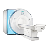 Preview: Siemens Prisma 3T