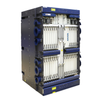 Preview: Huawei OptiX OSN 8800 T64