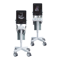 Preview: BK Medical Flex Focus 1202