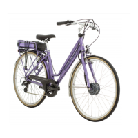 Preview: Raleigh TranzX Spirit E-Bike