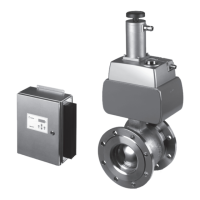 Preview: Metso NelesAce