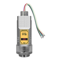 Preview: Detcon TP-700