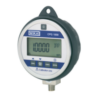 Preview: WIKA CPG1000