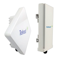 Preview: Telrad CPE8100