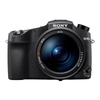 Preview: Sony DSC-RX10M4