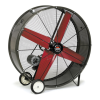 Fan Logo
