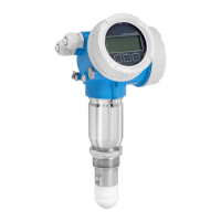 Preview: Endress+Hauser Micropilot FMR67