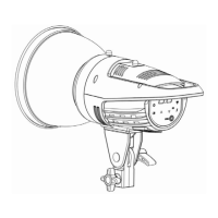 Preview: Interfit F121 200WS