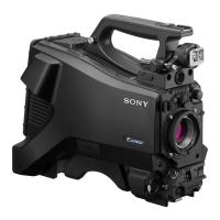 Preview: Sony HXC-FB80