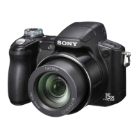 Preview: Sony DSC-H50