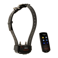 Preview: Num'axes Canicom 200 First