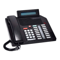 Preview: Nortel DMS-100 Series