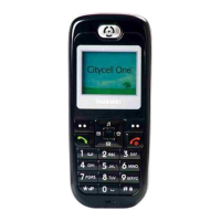 Preview: Huawei C2205