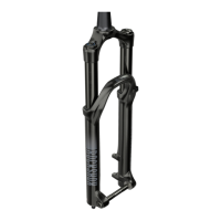Preview: RockShox 35 2020