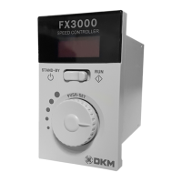 Preview: DKM Motor Co., Ltd. FX3000