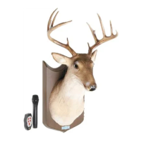 Preview: Gemmy Buck Animated Deer Trophy