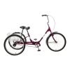 Bicycle Logo
