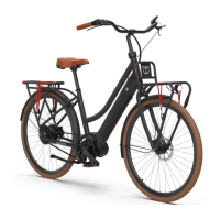 Preview: Lekker Bikes E-JORDAAN