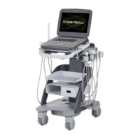 Preview: Siemens ACUSON P500