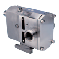 Preview: Johnson Pump Top Wing Series