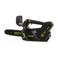 Preview: GreenWorks GS 110